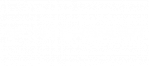 intersport