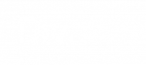 logo divalto blanc ogi
