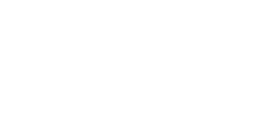 logo divalto blanc ogi