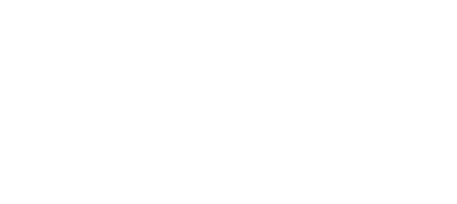 logo lucca blanc ogi