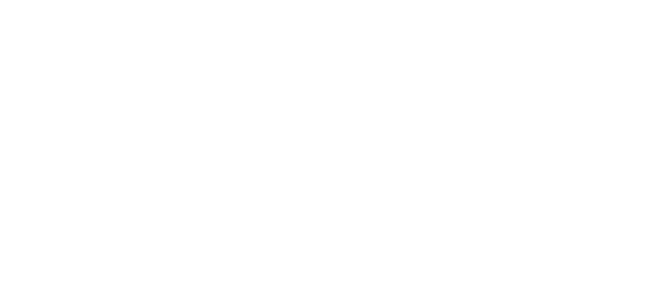 Logo néosoft blanc