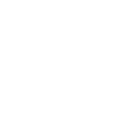icon-graph-blanc