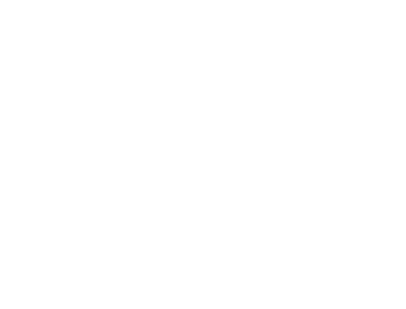 icon-team-blanc